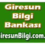 Giresun Bilgi Bankası
