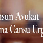 Samsun Avukat