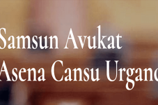 Samsun Avukat