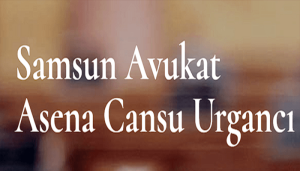Samsun Avukat