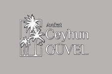 Mersin Avukat Ceyhun Güvel