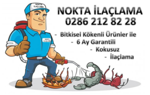 Nokta İlaçlama