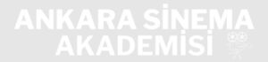 Ankara Sinema Akademisi