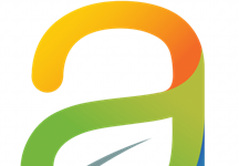 Gebze Web Tasarım