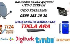 Balıkesir Antenci Balıkesir Uyducu