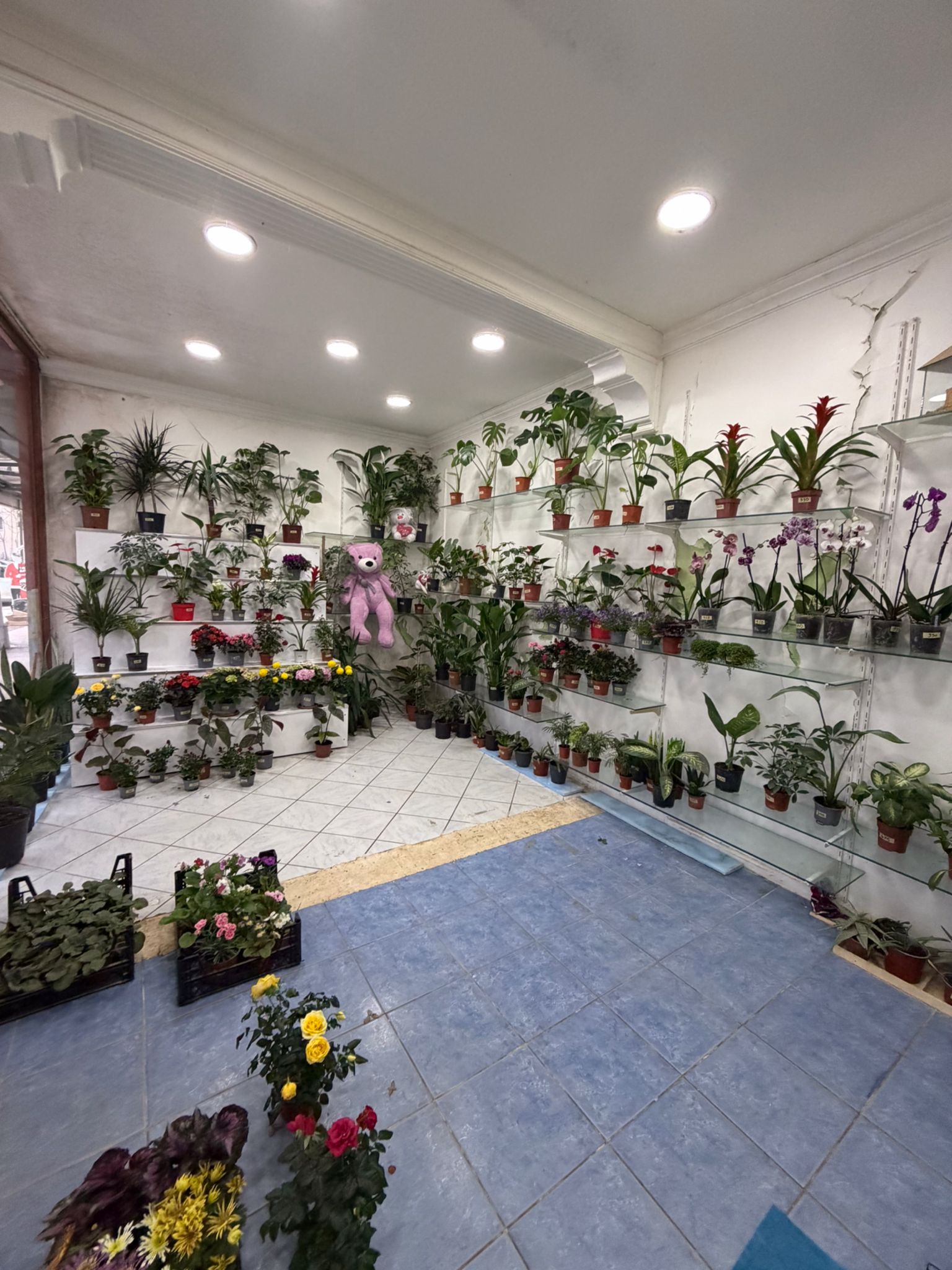 02b568ed-f2f1-4ac6-9203-64e3c5a998b1 02b568ed-f2f1-4ac6-9203-64e3c5a998b1