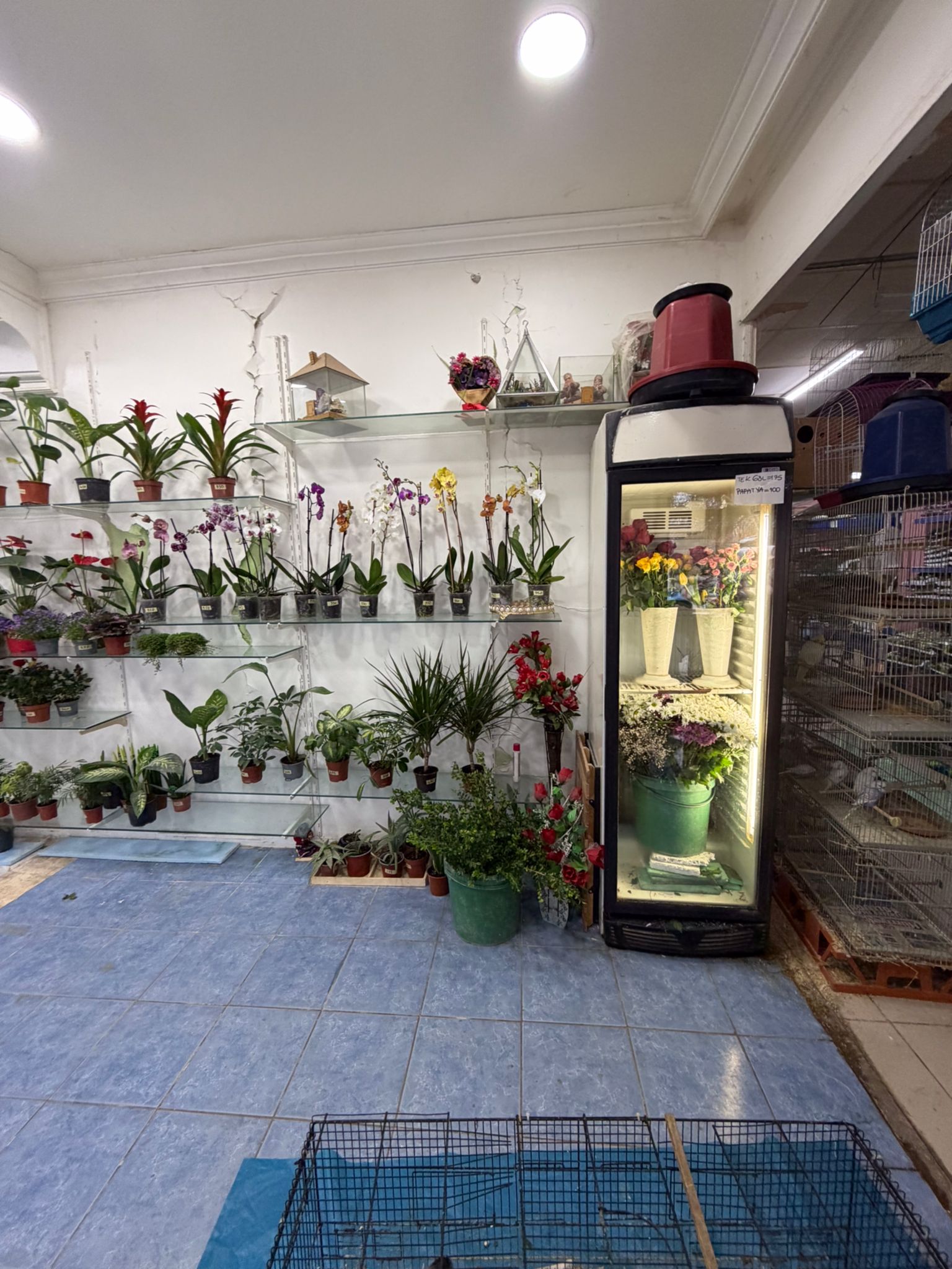 87fa9675-5c33-45cc-aef4-8435eb6a8074 87fa9675-5c33-45cc-aef4-8435eb6a8074