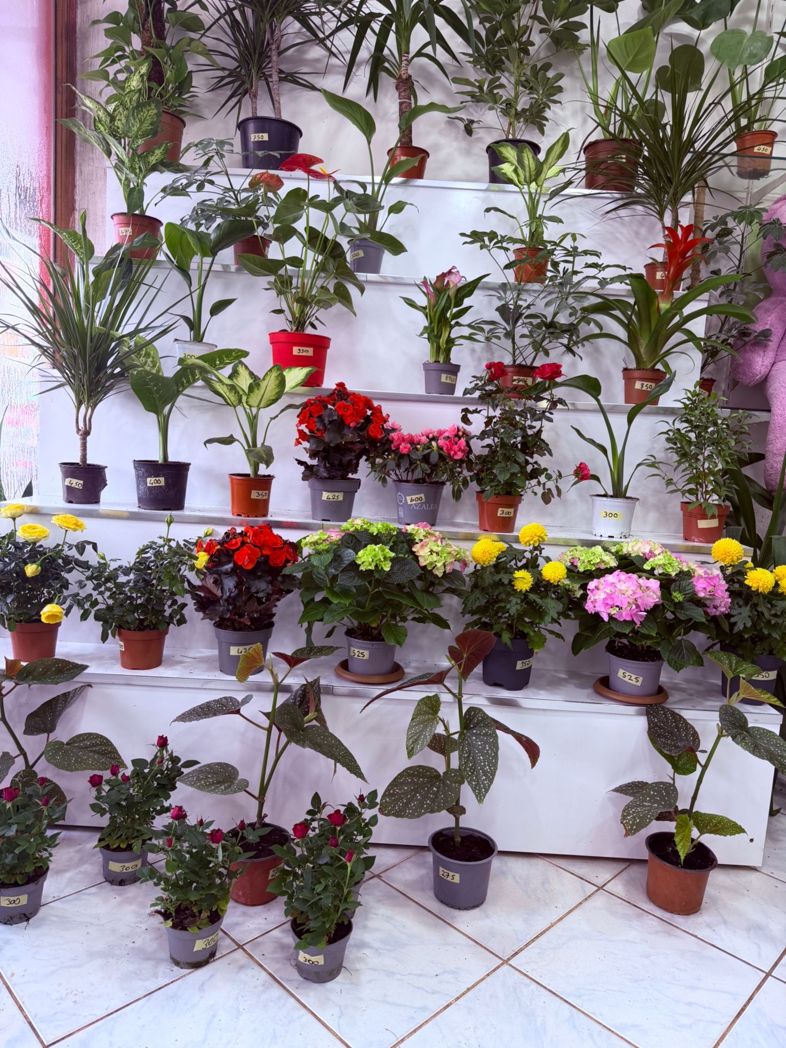 d00ec556-924b-4760-b7a6-228b6c3d36dc d00ec556-924b-4760-b7a6-228b6c3d36dc