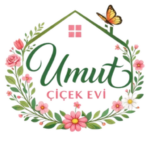 Umut Çiçekçilik – Sındırgı