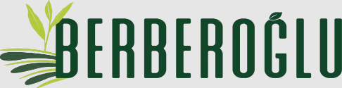 BERBEROGLU BERBEROGLU