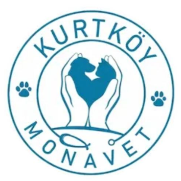 monavetkurtkoyı monavetkurtkoyı
